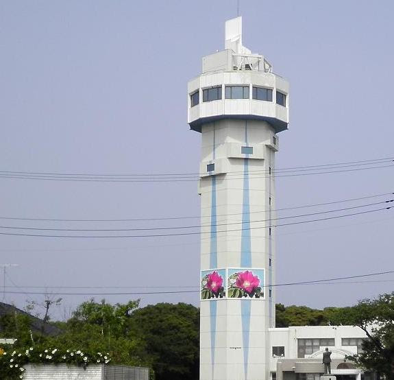 大野潮騒はまなす公園 その他 鹿島 波崎エリア 茨城 ショップガイド 波情報 サーフィン m