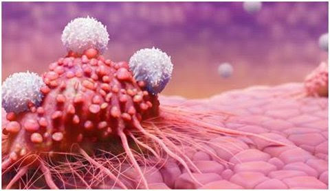  Phương pháp miễn dịch tế bào sẽ giúp cơ thể tạo ra hàng rào miễn dịch đủ mạnh để chống lại các tế bào ung thư