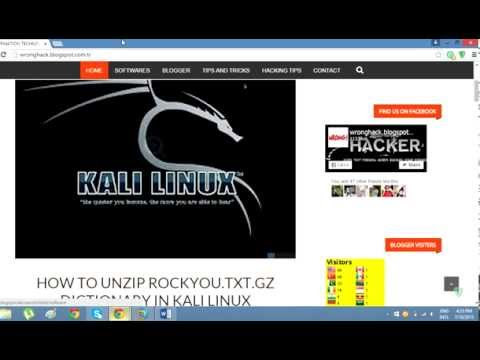 How to unzip rockyou.txt.gz dictionary in kali linux