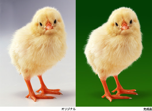 Photoshop Cs5の切り抜きは劇的にパワーアップ Love金沢水彩画