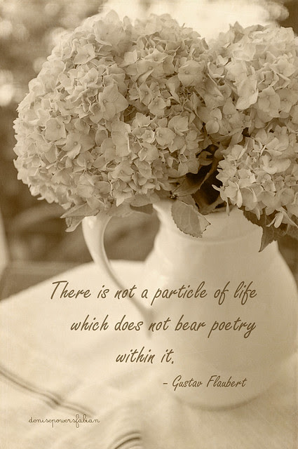 Sepia Still