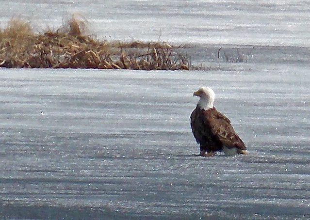 Lake2013-08