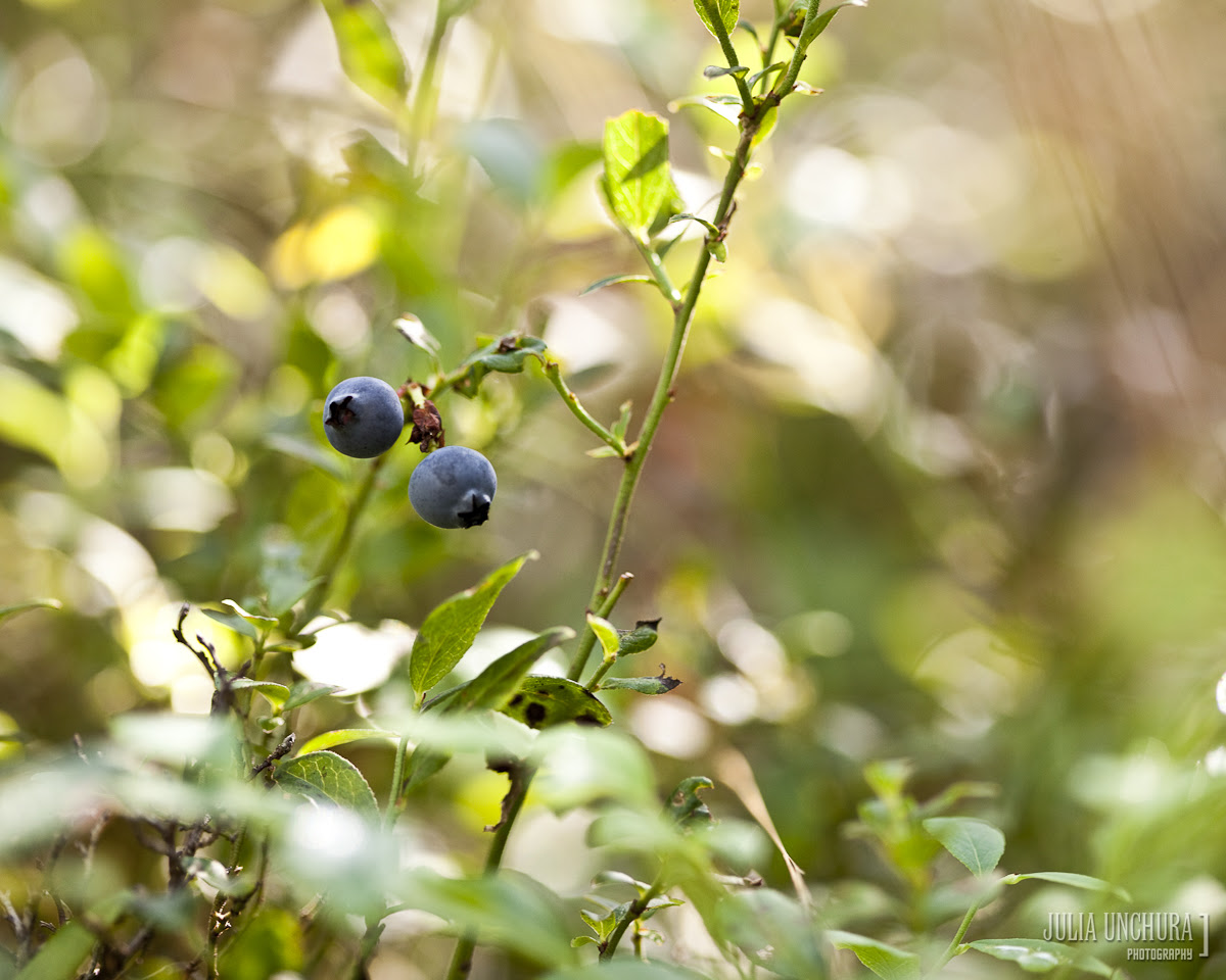 20090821-IMG_4793