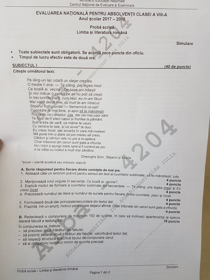 Simulare Evaluare NaÅ£ionalÄ 2018 Subiecte Si Barem La RomanÄ Clasa A Viii A