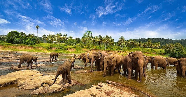 10 Tempat Wisata Di Lampung Yang Wajib Dikunjungi