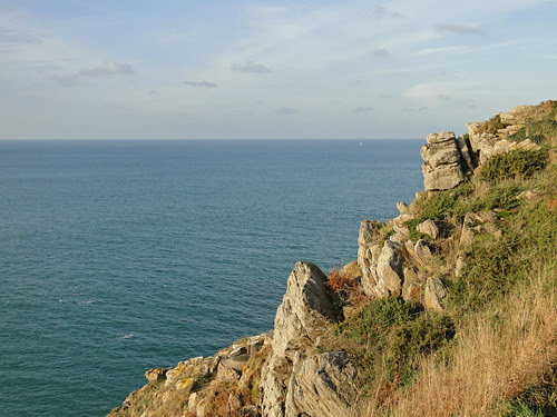 DSC00353