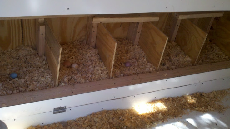 nesting boxes, interior chickens &amp; coop ideas Pinterest