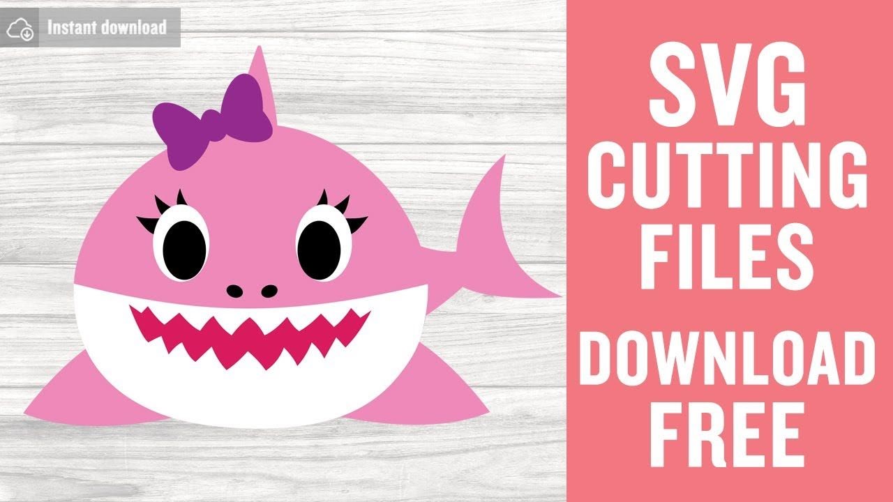 Download 593 Free Svg Files Baby Shark SVG File 144Mb for Cricut, Silhouette and Other Machine