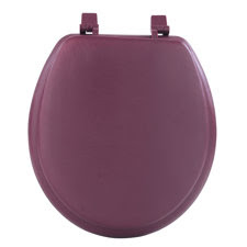 Red Toilet Seats | Wayfair