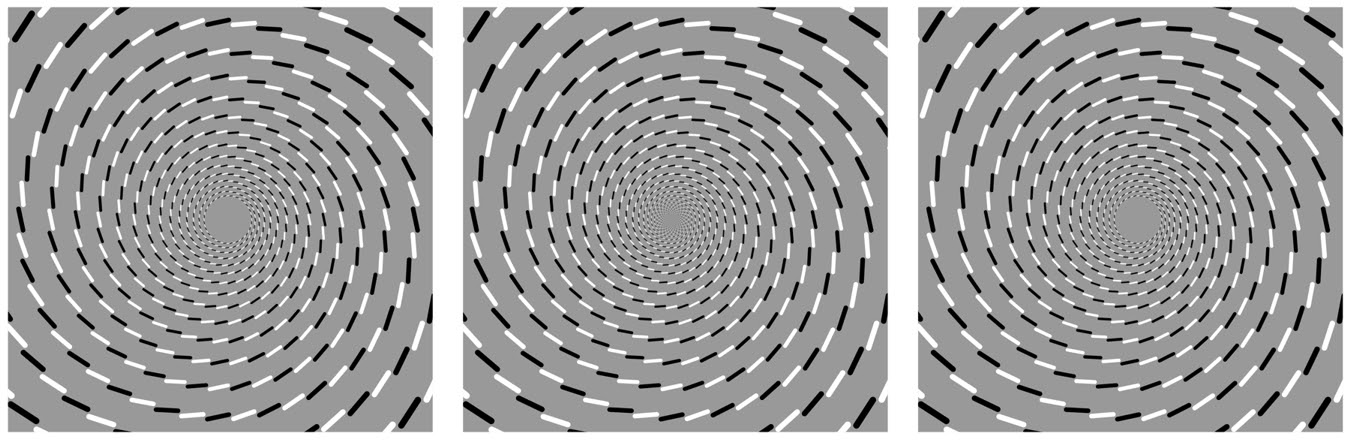両眼立体視5