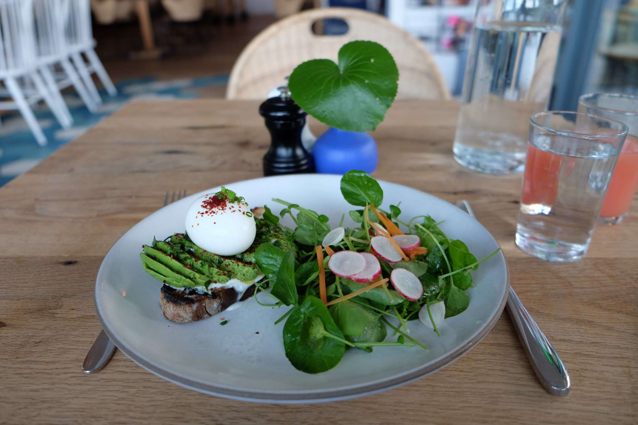 Avocado Toast in Austin, Texas