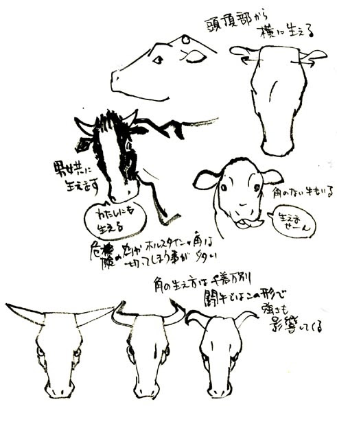 牛の描き方