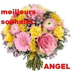 Joyeux Anniversaire Angelique N W 244