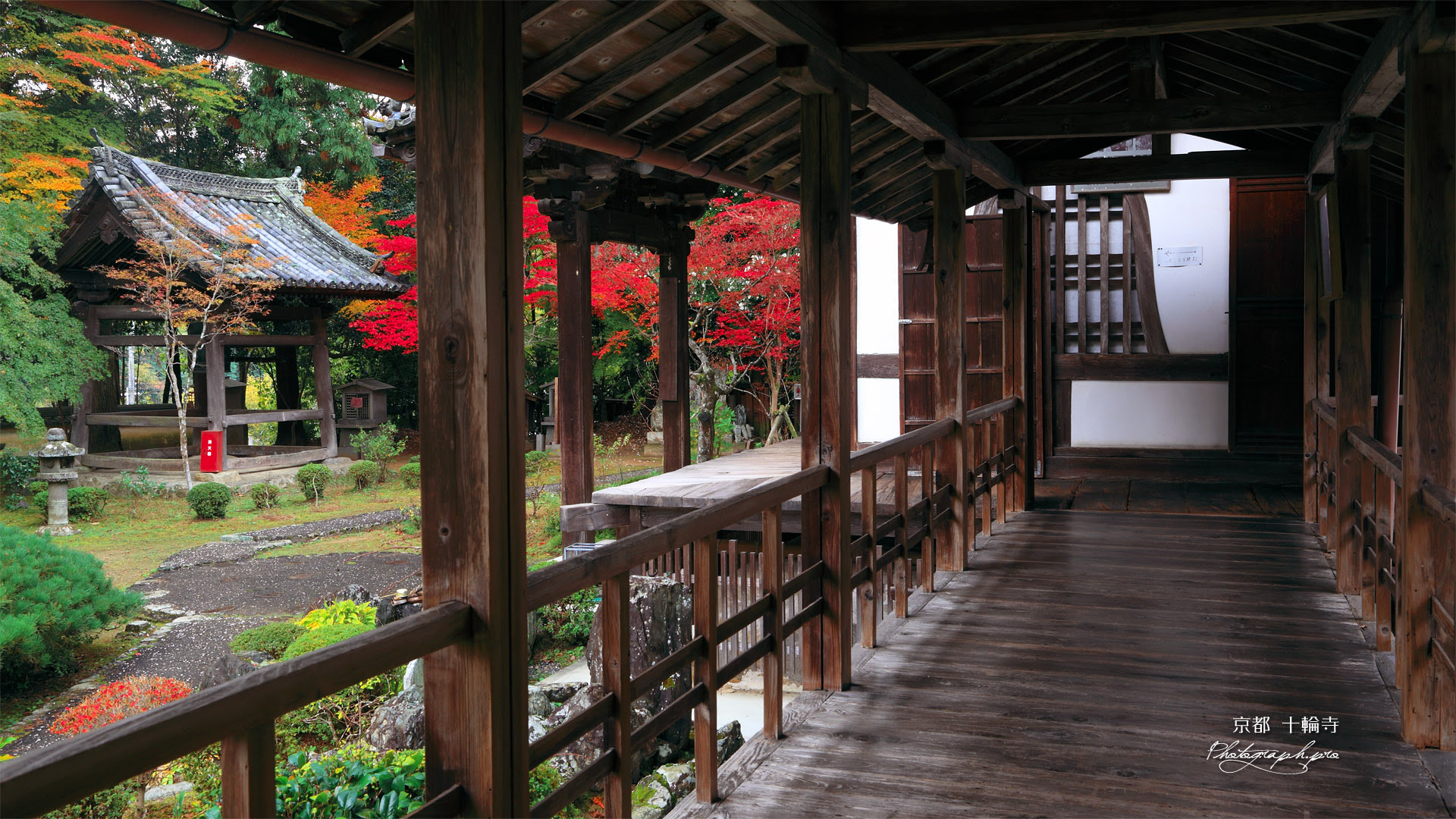 京都十輪寺 高廊下から鐘楼と紅葉 の壁紙 19x1080