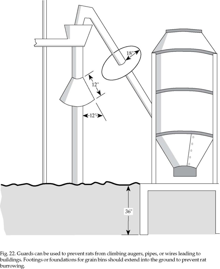 Rodent Proof Construction Internet Center For Wildlife Damage Management