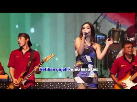 Nella Kharisma - Ada Gajah Di Balik Batu Mp3 Live Om Sera