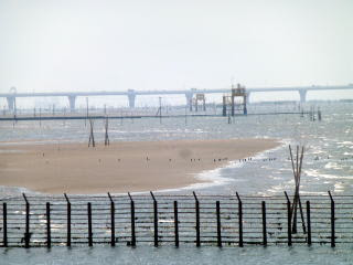袖ヶ浦海浜公園を散歩です いいひだのブログ