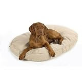 Designer Oval Dog Pillow Size: Large (34