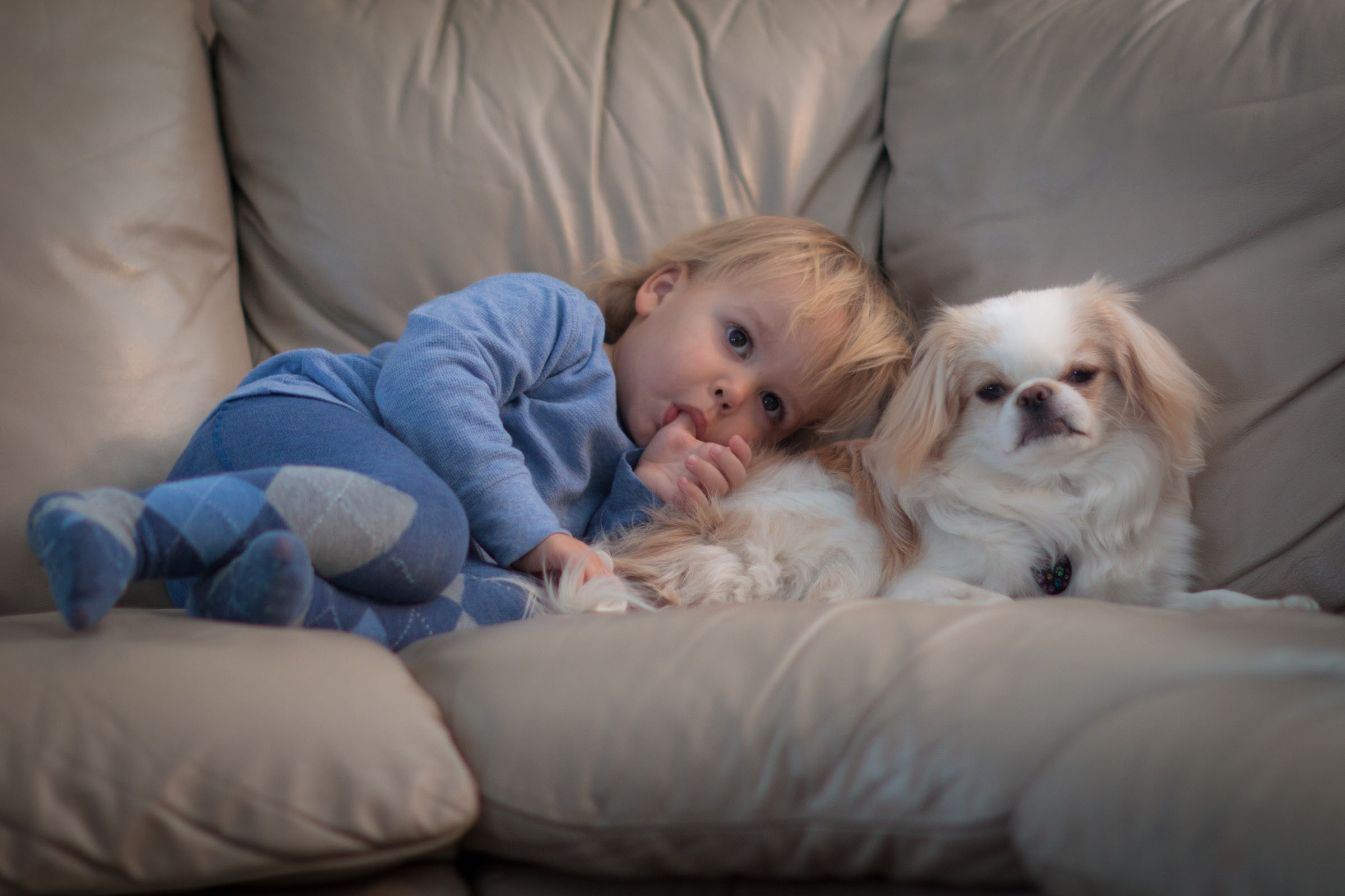 Theo enjoying a moment on New Year's Day with his best friend Marco