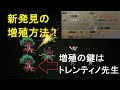 [10000印刷√] ロマサガ 3 武器一覧 288576-ロマサガ 3 武器一覧