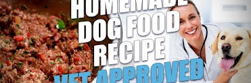 Homemade Puppy Food Recipes Vet Approved Free Download Song Mp3 and Mp4