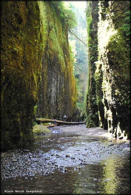 Oneonta Gorge