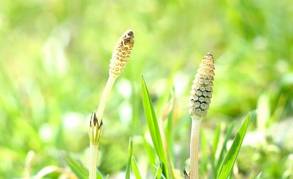 3月 季節の挨拶文 書き出しと締めの言葉 お礼状の例文 文例集 はがき 手紙に今すぐ使える