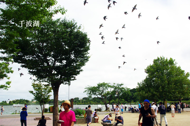 千波湖 ポケモンｇｏ 16 08 19