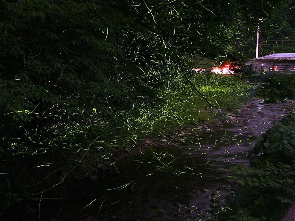 ほたるの里 ほたるの館 壁紙写真集 無料写真素材