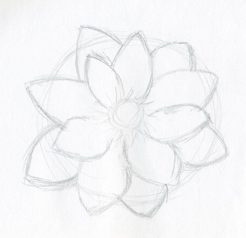 Free Simple Flower Sketch Download Free Clip Art Free Clip Art On Clipart Library I opened this book thinking it would probably take me a little longer than others to catch on because i am truly a beginner to drawing flowers but.