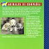 Download Perro de agua español. (Perros De Agua Español)