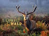 Tierwelt Wald 2020