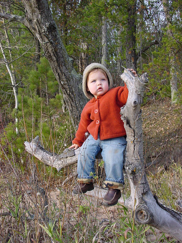 snowflake 2005
