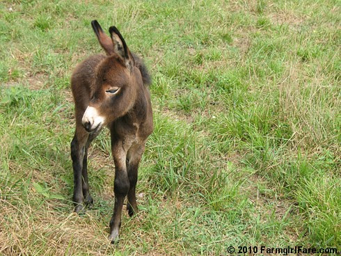 Learning the Rules 10