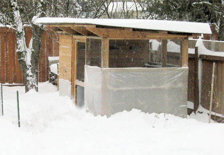 Winter Chicken Coop Care Tips &amp; Plans, Pt. 1 ::: Coop Thoughts Blog