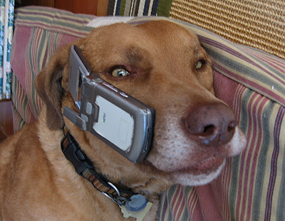 "Yea, I Miss You Guys Too"