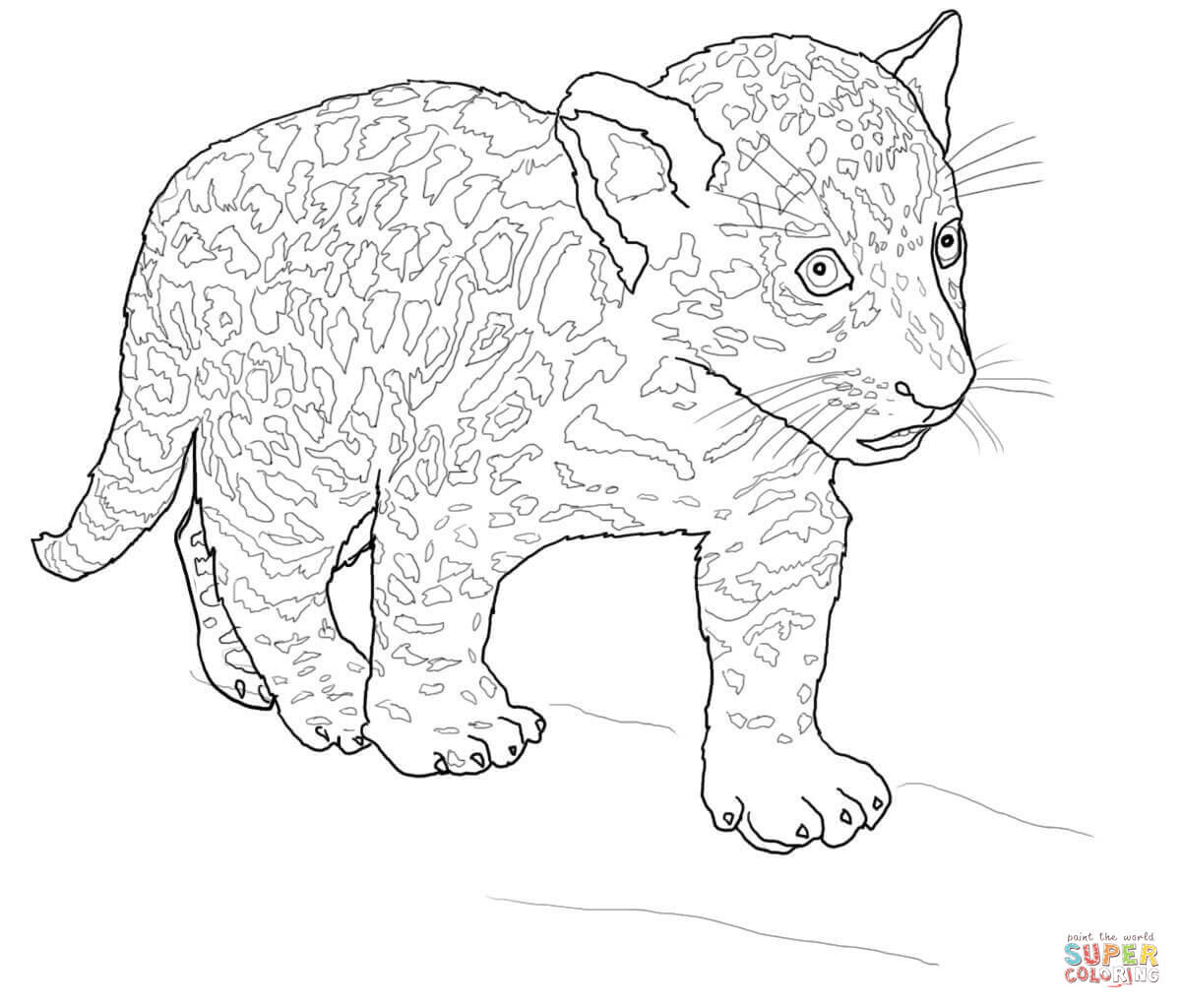 Download Jaguar Animal Drawing at GetDrawings | Free download