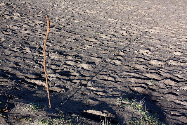 Broughton Beach