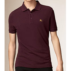 男性におすすめ ポロシャツの人気ブランドランキング メンズファッションブランドナビ