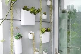 How to Grow an Indoor Vertical Garden on a Budget