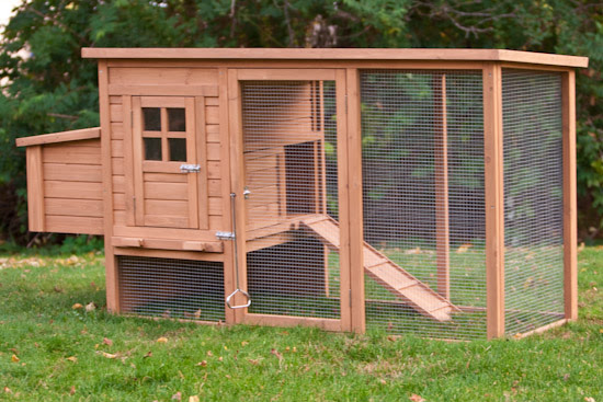 Budget Backyard Chicken Coops | TBN Ranch