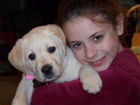 6grams of sugars, 1,000 mg vitamin c of the daily value, 10mg of the dv for . Angie Jurisson - Meet the Puppies that have gone to loving