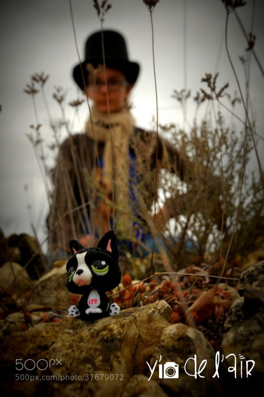 Little petshop, watchdog by Yann Riché (Yadelair)) on 500px.com