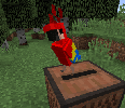 Minecraft Parrots Dancing Meme Song Name