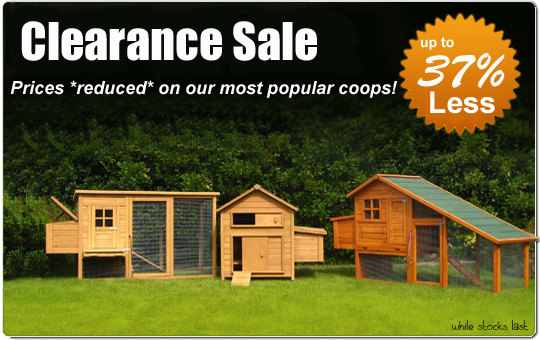 ... about chickencoopsdirect.com: Chicken Coops | Chicken Coops For Sale