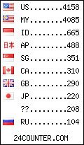 visitors by country counter