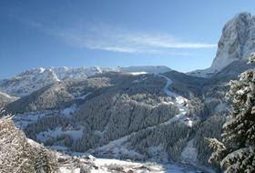 Uno scorcio della Saslong di Selva di Val Gardena