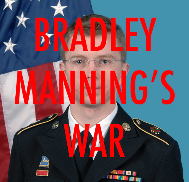 Bradleymanningswarweb