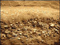 Layers of sea shells because of tsunami activity