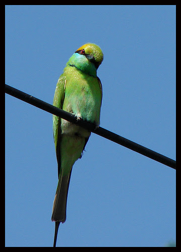 And what are you looking at !!